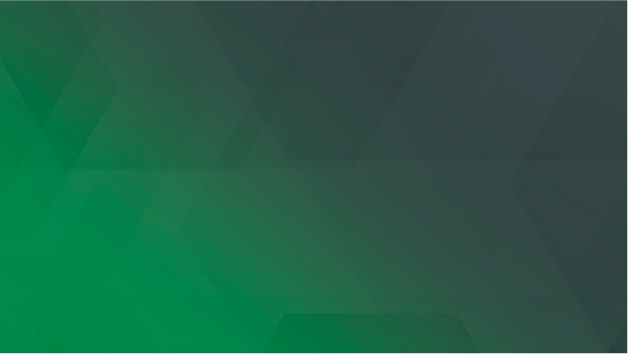 ORNL logo placeholder for Black Box Eval – ORNL Oak Ridge, TN